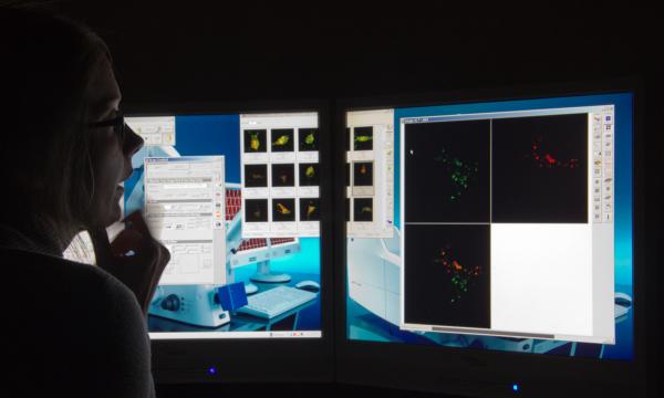 Calendario del Dottorato Toscano in Neuroscienze.