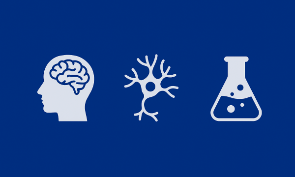 RISULTATI DELLA PROVA ORALE DEL CONCORSO PER L’AMMISSIONE AL CORSO DI DOTTORATO TOSCANO DI NEUROSCIENZE