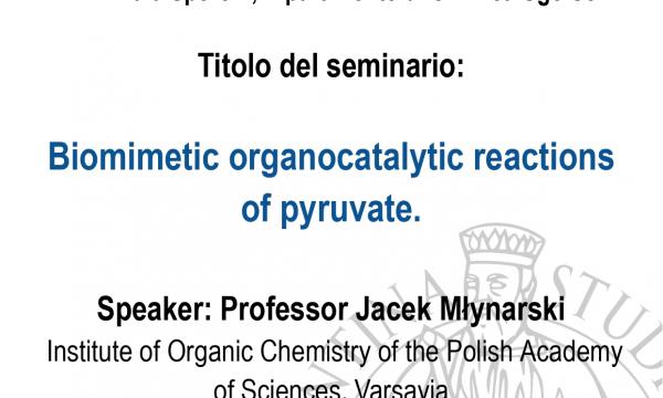 Seminario del Professor Jacek Młynarski